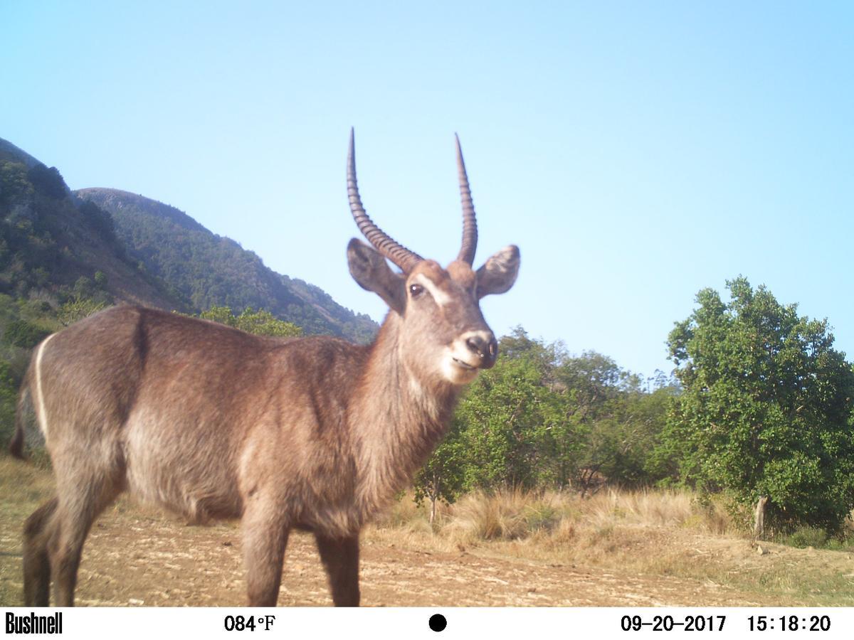 Kilmorna Manor Guest House Shoemanskloof Luaran gambar